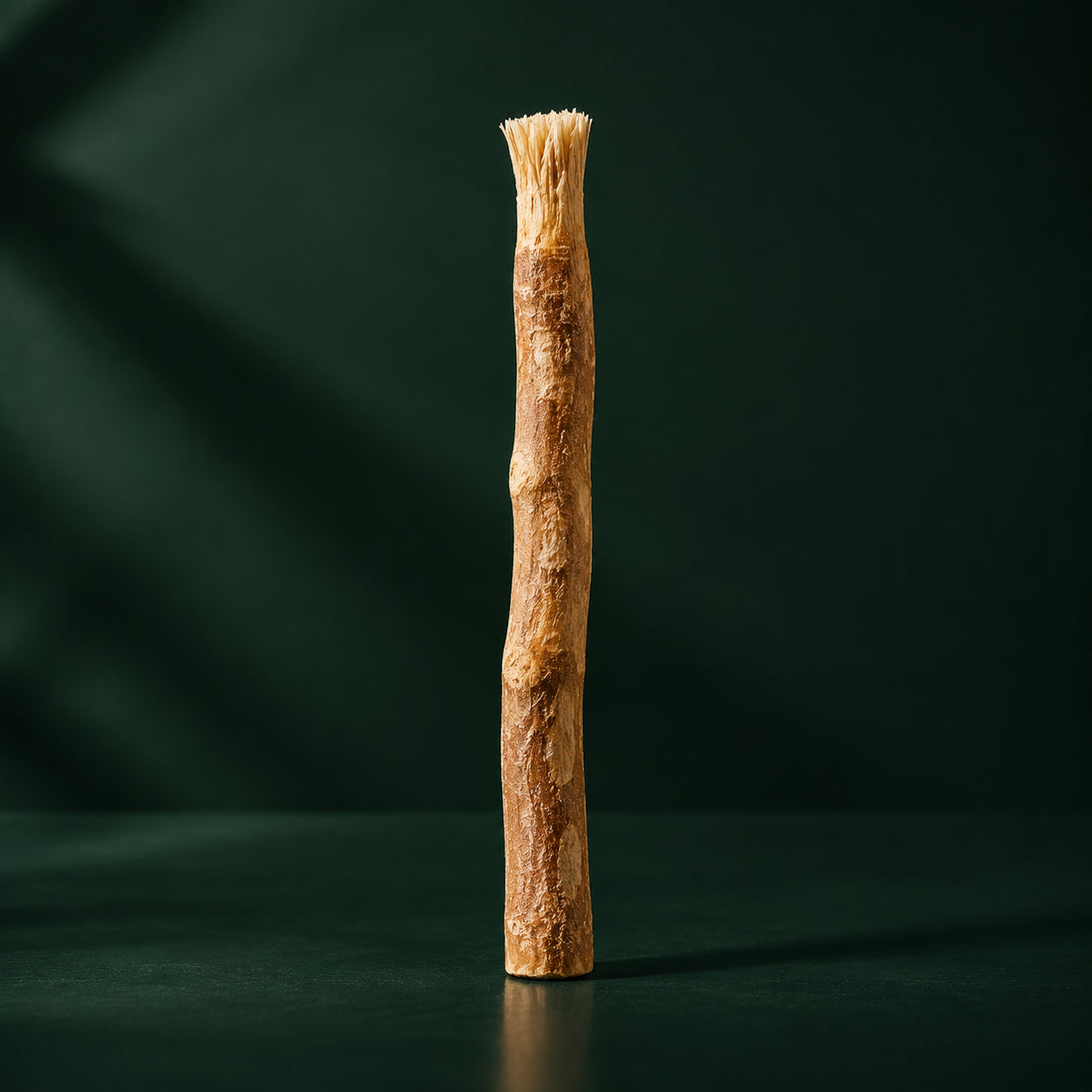 Bâton de siwak WAKSI, fibres naturelles apparentes