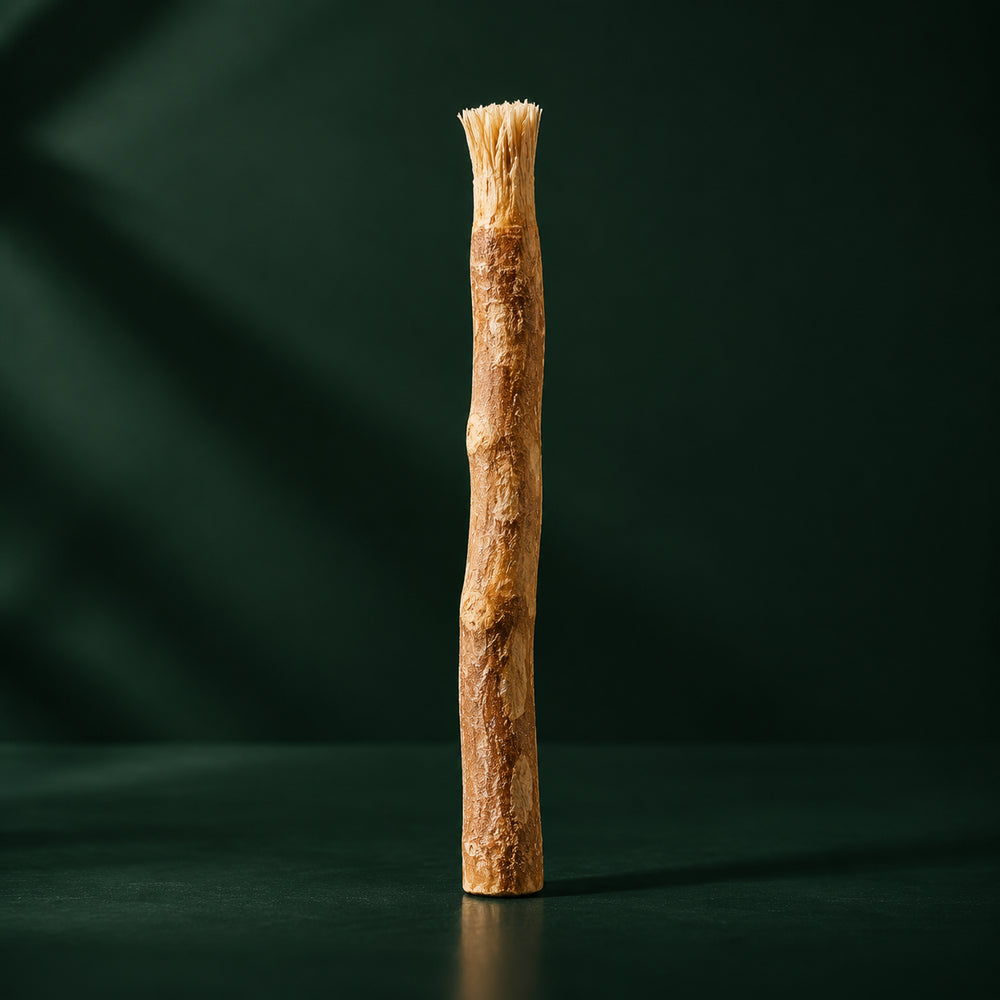 Bâton de siwak WAKSI en racine naturelle