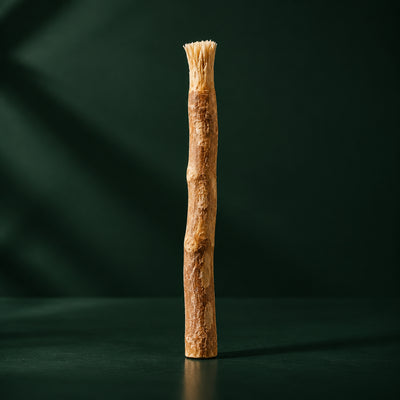 Bâton de siwak WAKSI